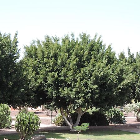 Bungalow Del Sol Maspalomas Διαμέρισμα Μασπαλόμας Εξωτερικό φωτογραφία